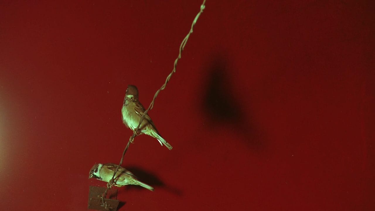 2012 the dragon who walks on the water.00 09 20 10.still003