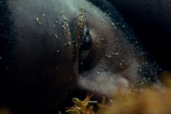 copy of evil empire eventive prog cover image 960 x 380 copy