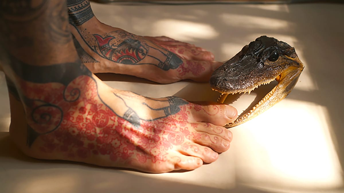 copy of sindhustanstill