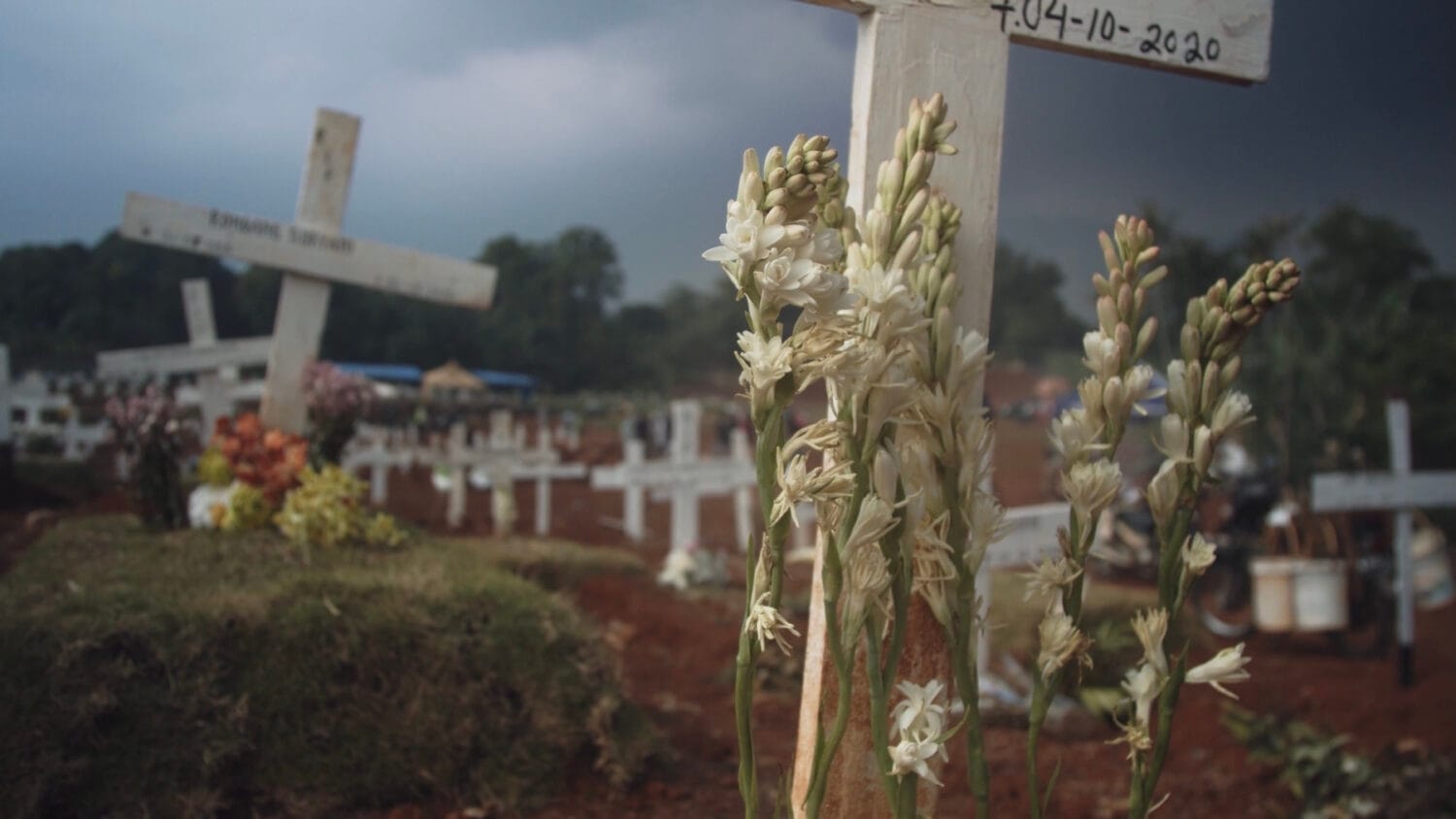 [copy screener] agave amica 1080p h264 english subtitles.00 13 52 17.still006 2