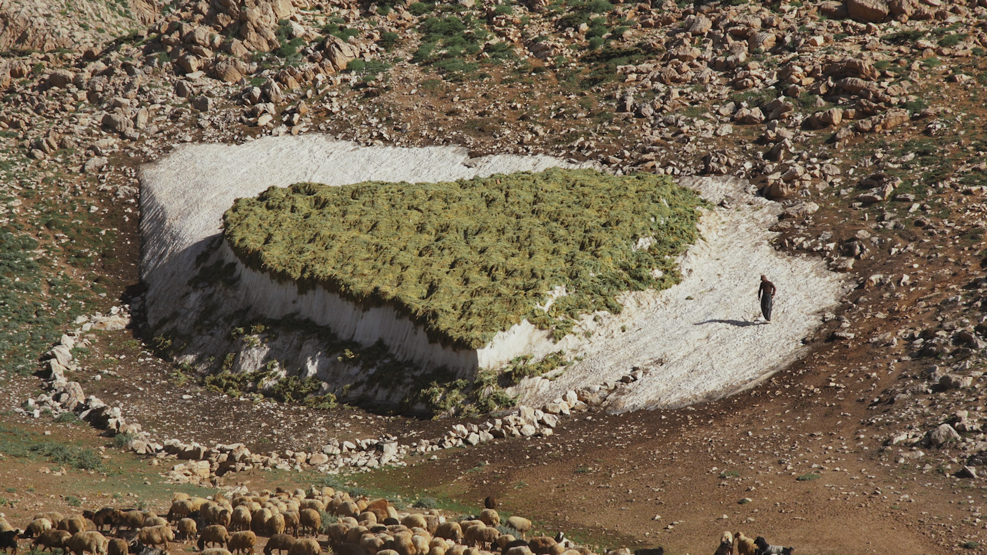 landscape suspended still 2