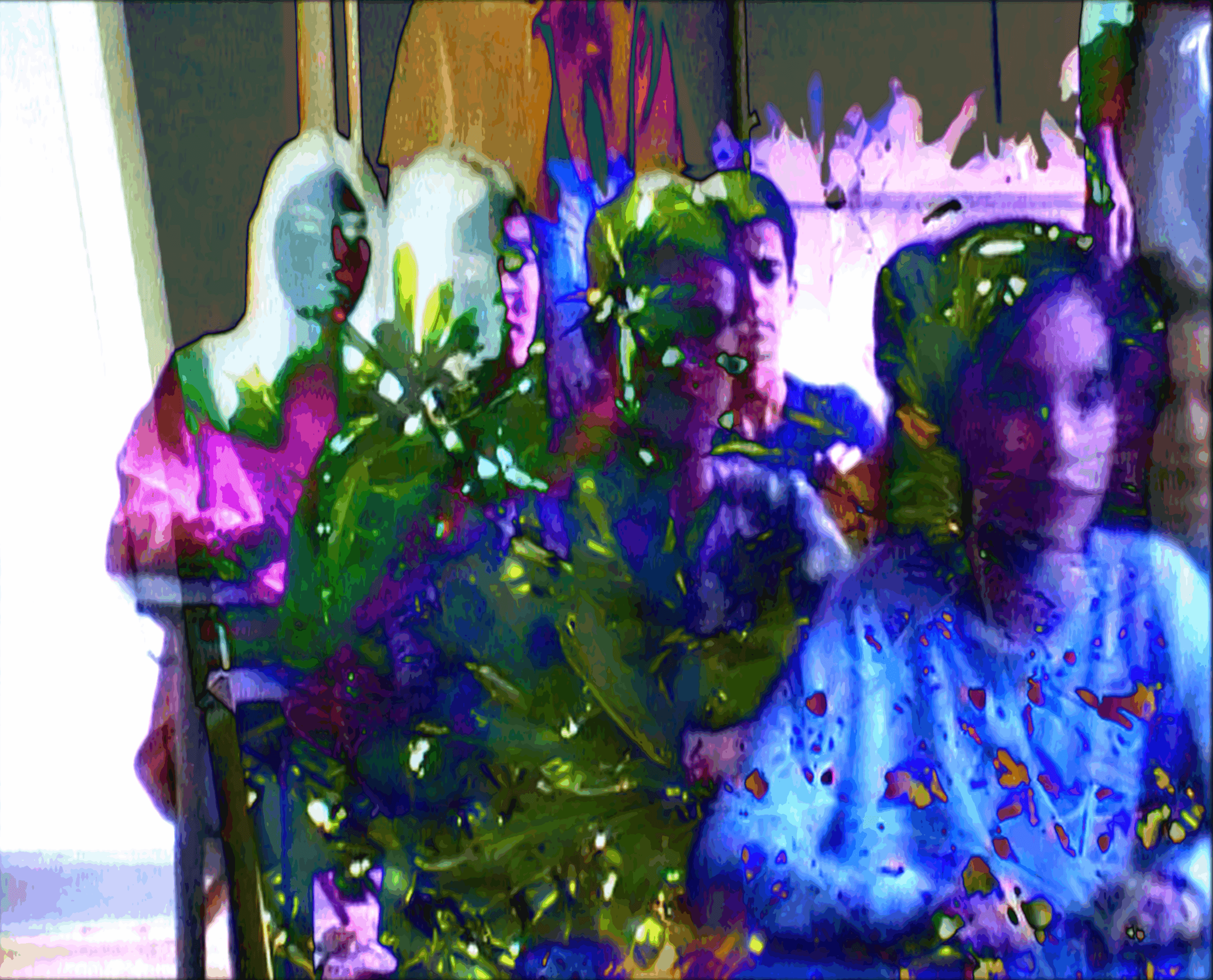 nef 3.12.3 main image