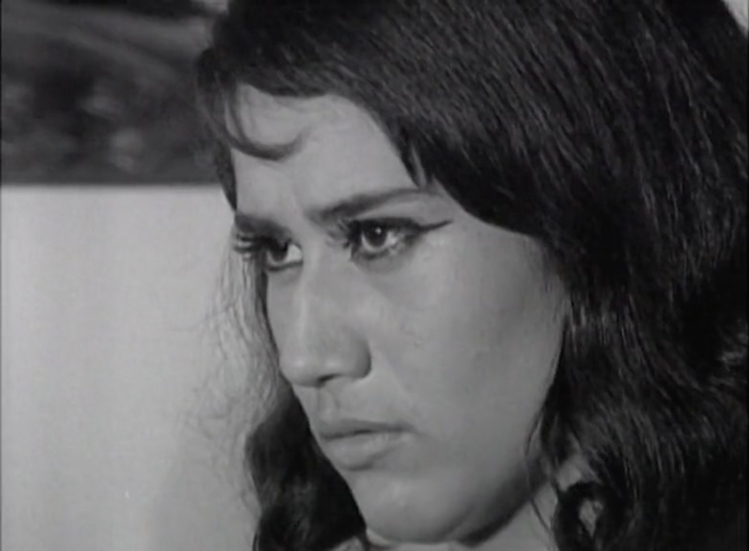 screenshot 2026 02 19 at 14.24.47