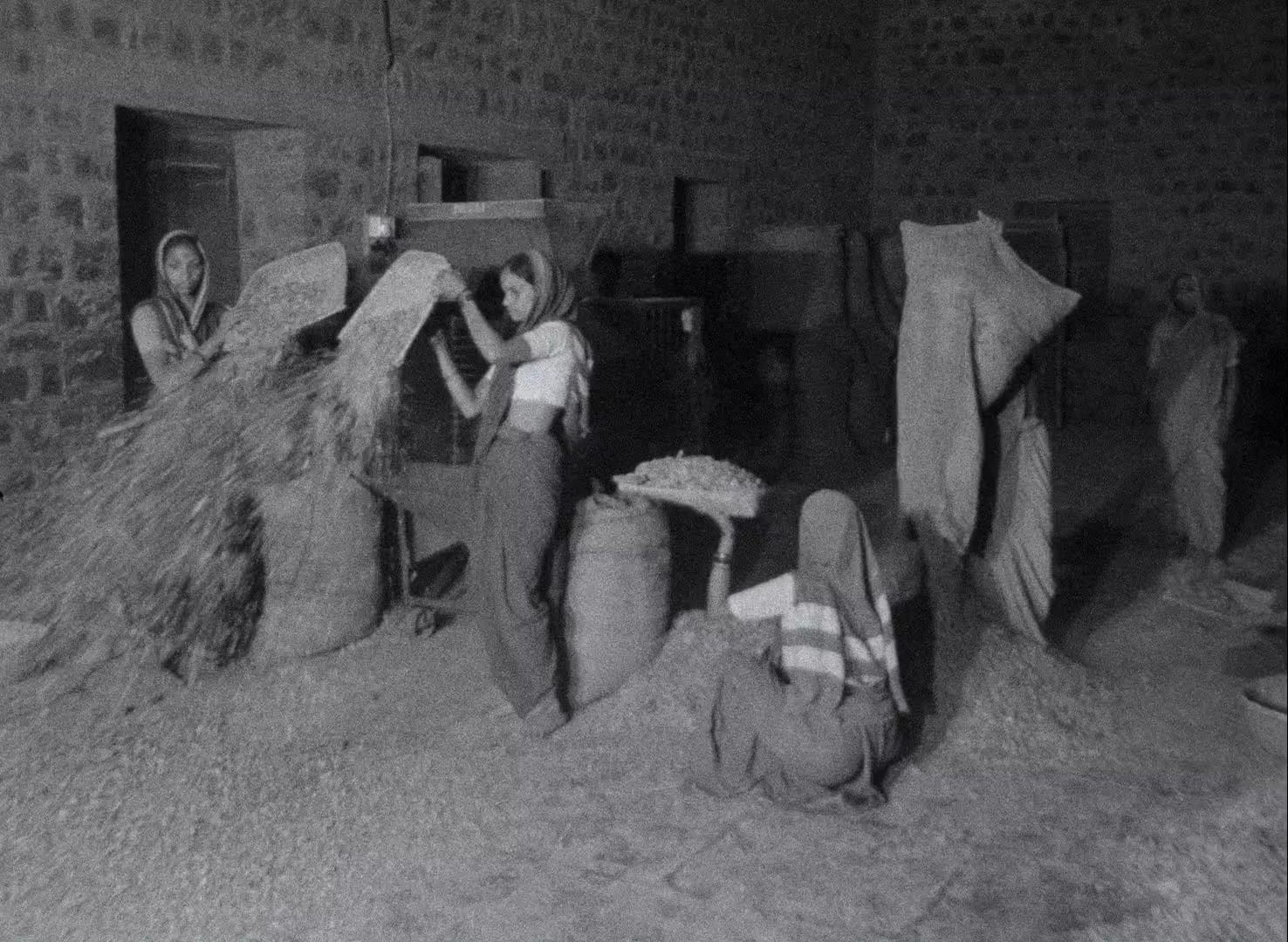 tambaku tobaccoembers ma xx 1080p24 h264 20mbps mono ars 20241213.00 07 25 10.still006